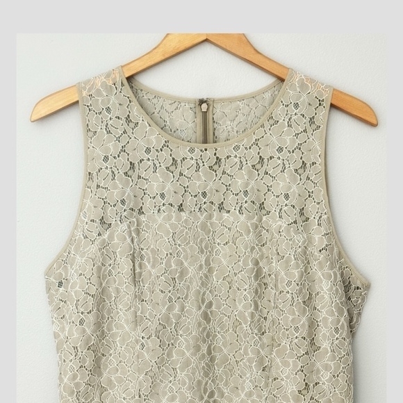 Sachin + Babi Anthropologie Dress Lace Peplum Mini Dress Occasion Sleeveless 12 - Picture 6 of 13